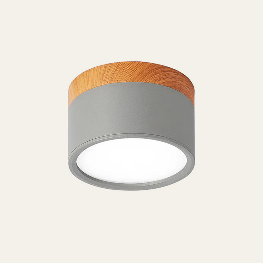 Kleine Cilinder Plafondlamp | Moderne Flush Mount Lamp voor Hal, Toilet of Overloop – MiniTube Ceiling Light
