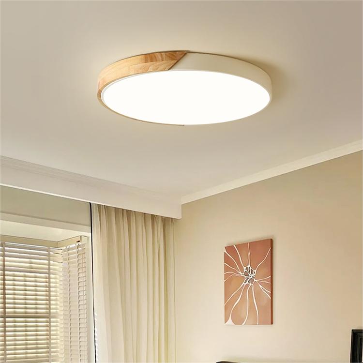 Kleurrijke Ronde LED Plafondlamp | Eenvoudig Modern Design voor Kinderkamer of Speelruimte – ColorGlow LED