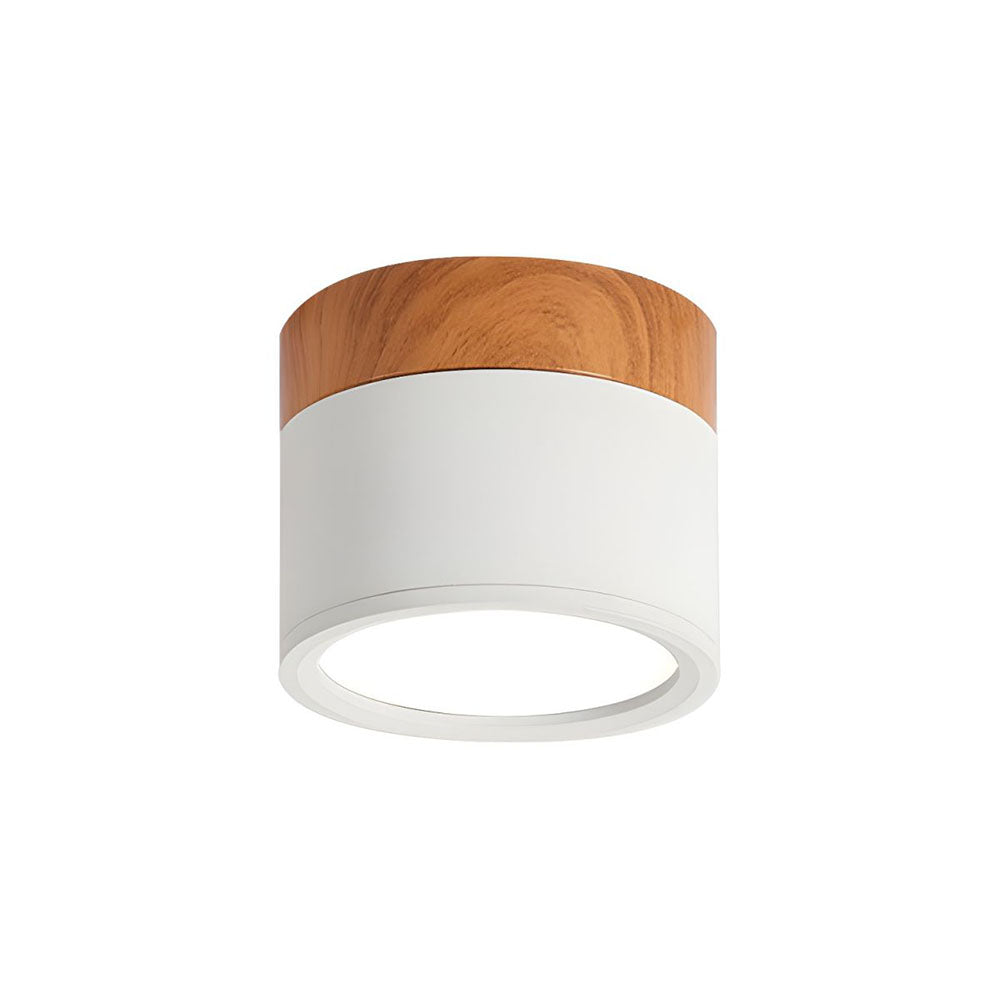 Kleine Cilinder Plafondlamp | Moderne Flush Mount Lamp voor Hal, Toilet of Overloop – MiniTube Ceiling Light