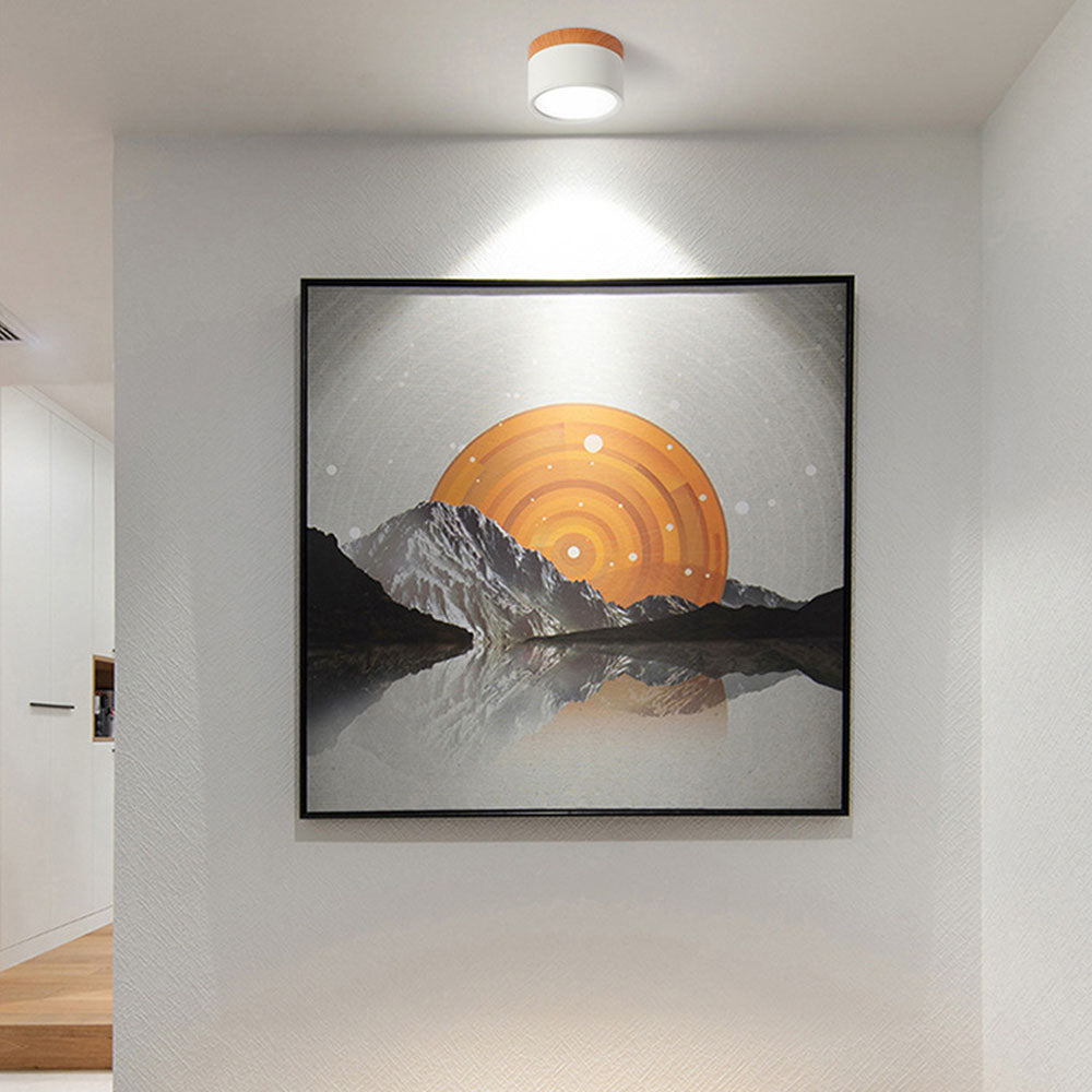 Kleine Cilinder Plafondlamp | Moderne Flush Mount Lamp voor Hal, Toilet of Overloop – MiniTube Ceiling Light