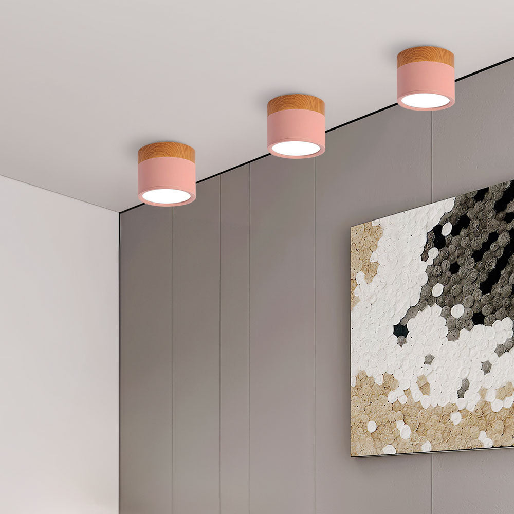 Kleine Cilinder Plafondlamp | Moderne Flush Mount Lamp voor Hal, Toilet of Overloop – MiniTube Ceiling Light