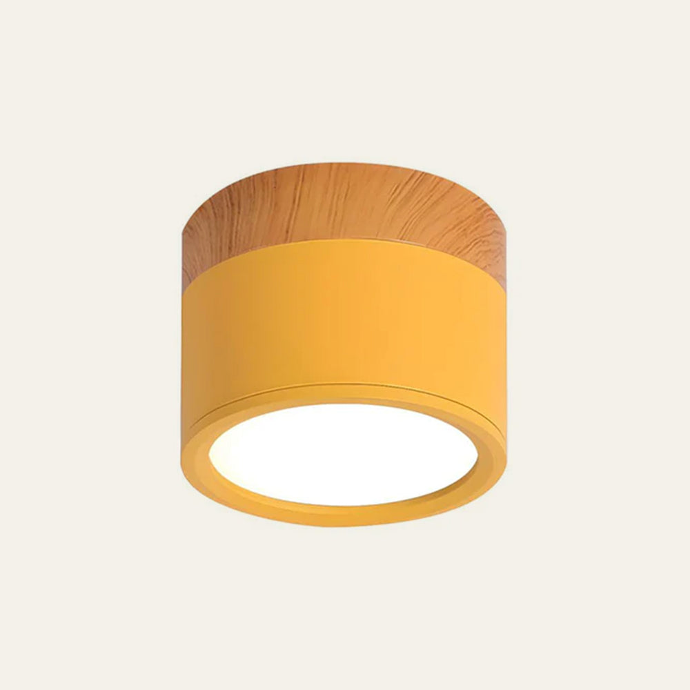 Kleine Cilinder Plafondlamp | Moderne Flush Mount Lamp voor Hal, Toilet of Overloop – MiniTube Ceiling Light