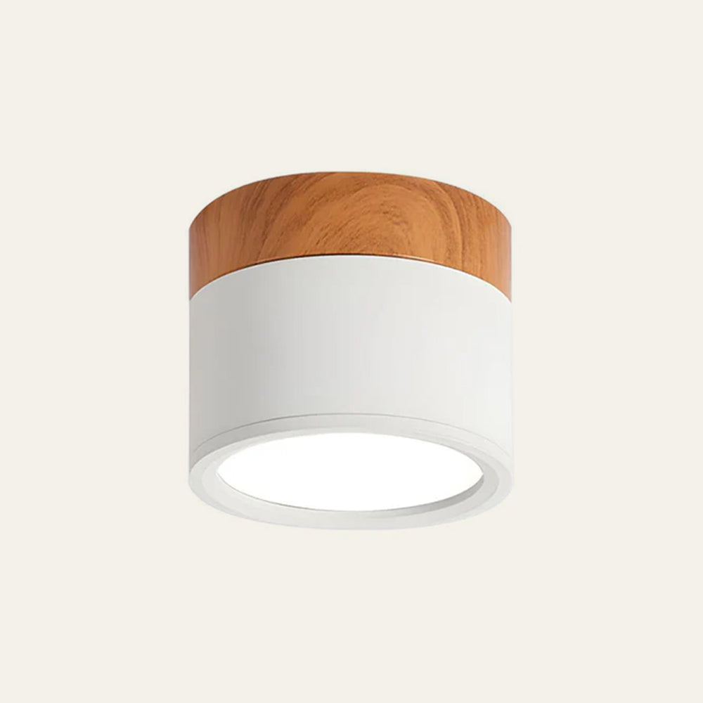 Kleine Cilinder Plafondlamp | Moderne Flush Mount Lamp voor Hal, Toilet of Overloop – MiniTube Ceiling Light