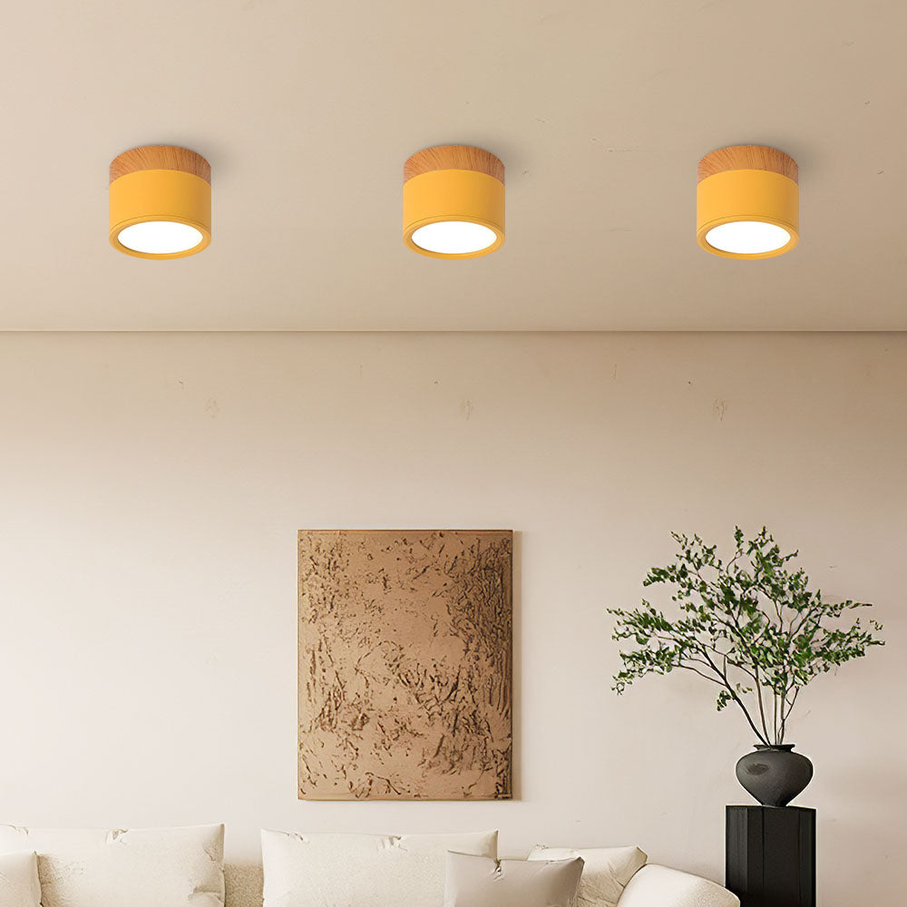 Kleine Cilinder Plafondlamp | Moderne Flush Mount Lamp voor Hal, Toilet of Overloop – MiniTube Ceiling Light