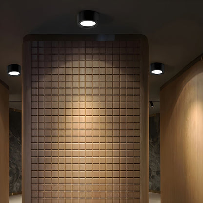 Scandinavische Opbouw Plafondlamp | Moderne Flush LED Verlichting voor Binnen – NordicBeam