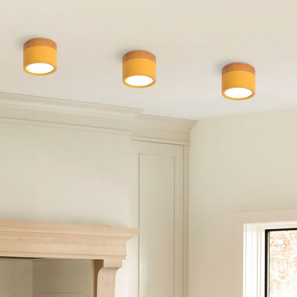 Kleine Cilinder Plafondlamp | Moderne Flush Mount Lamp voor Hal, Toilet of Overloop – MiniTube Ceiling Light
