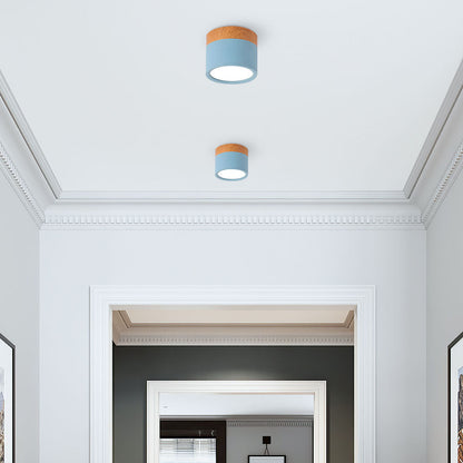 Kleine Cilinder Plafondlamp | Moderne Flush Mount Lamp voor Hal, Toilet of Overloop – MiniTube Ceiling Light