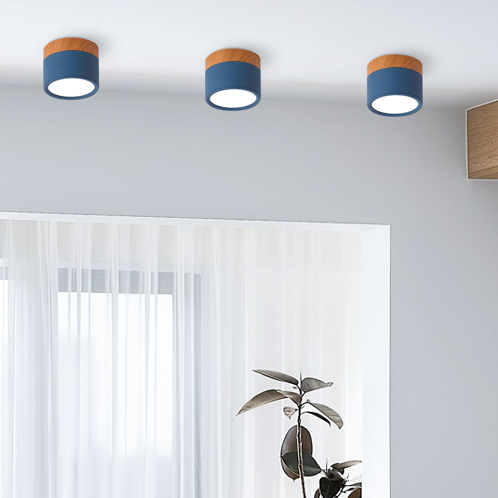 Kleine Cilinder Plafondlamp | Moderne Flush Mount Lamp voor Hal, Toilet of Overloop – MiniTube Ceiling Light