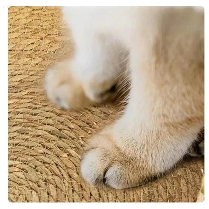 Superzacht en Knus Kattenmandje | Huisdierenmand voor Katten en Kleine Honden