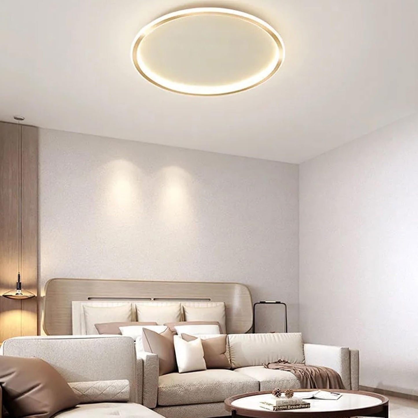 Scandinavische Schijfvormige LED Plafondlamp | Minimalistisch Design voor Woonkamer of Hal – NordDisc Light