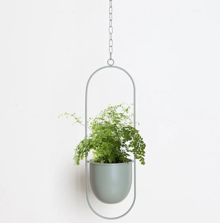Minimalistische Muurplantenhanger | Moderne Wandhouder voor Planten, Kruiden of Bloempotten – WallBloom Hanger