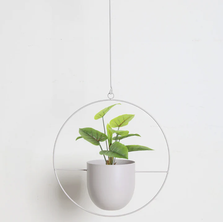 Minimalistische Muurplantenhanger | Moderne Wandhouder voor Planten, Kruiden of Bloempotten – WallBloom Hanger