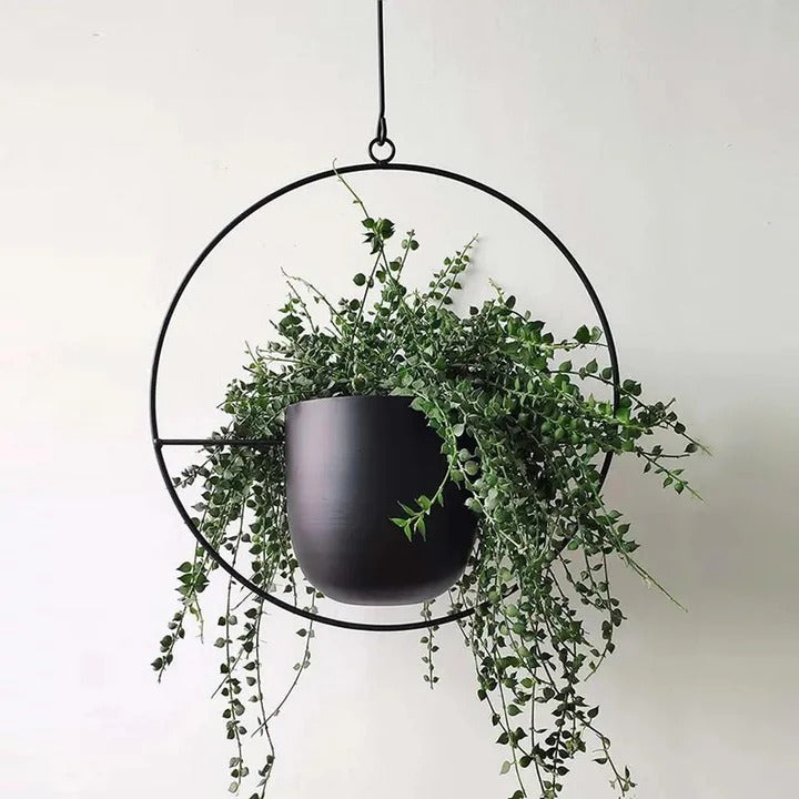 Minimalistische Muurplantenhanger | Moderne Wandhouder voor Planten, Kruiden of Bloempotten – WallBloom Hanger