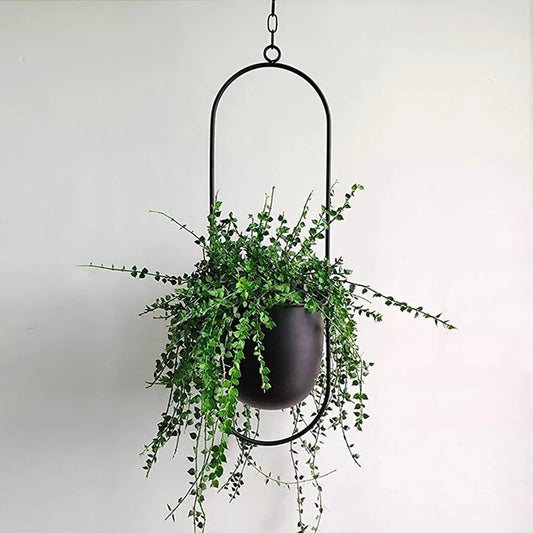 Minimalistische Muurplantenhanger | Moderne Wandhouder voor Planten, Kruiden of Bloempotten – WallBloom Hanger